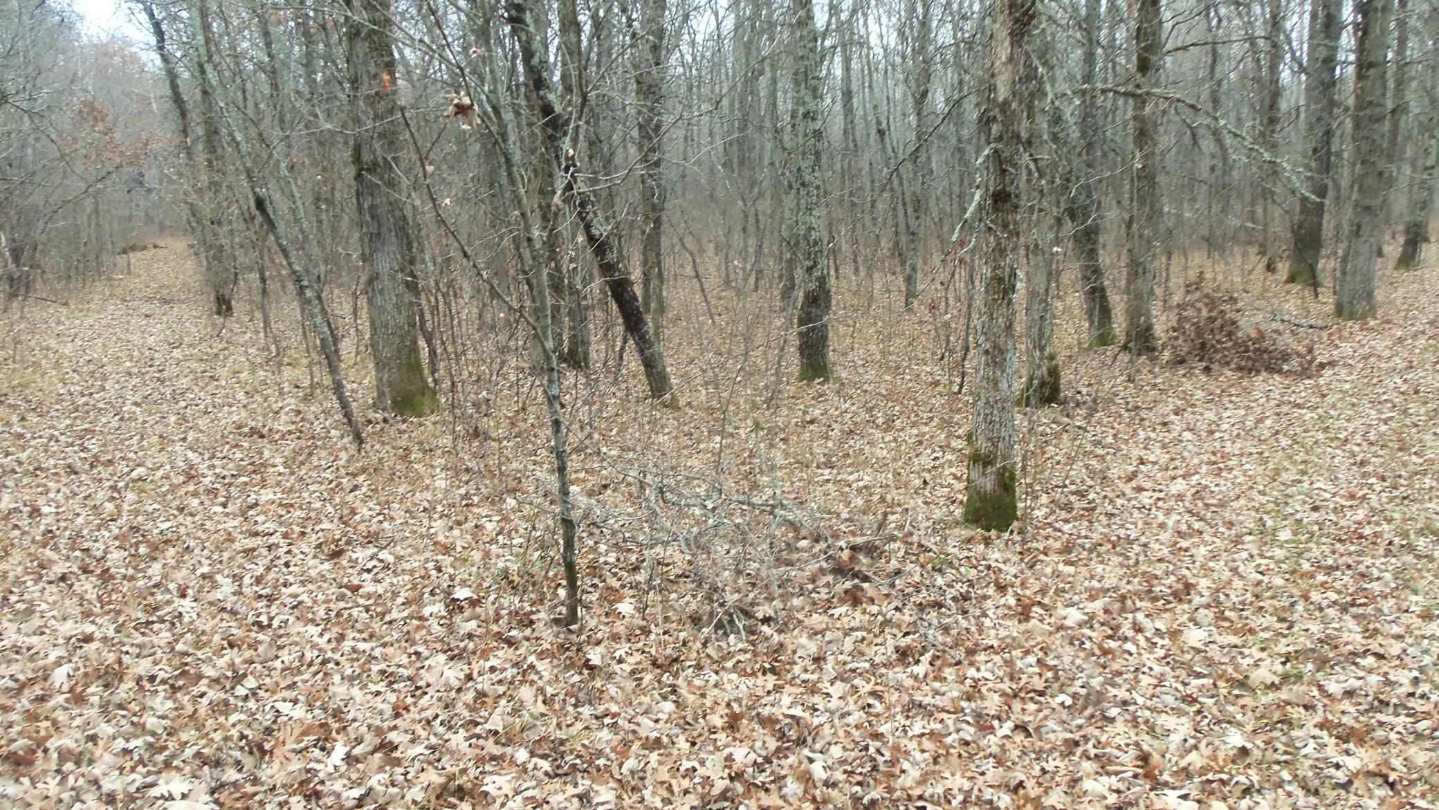 Lot 6 Canute Creek Trl Property Photo 5