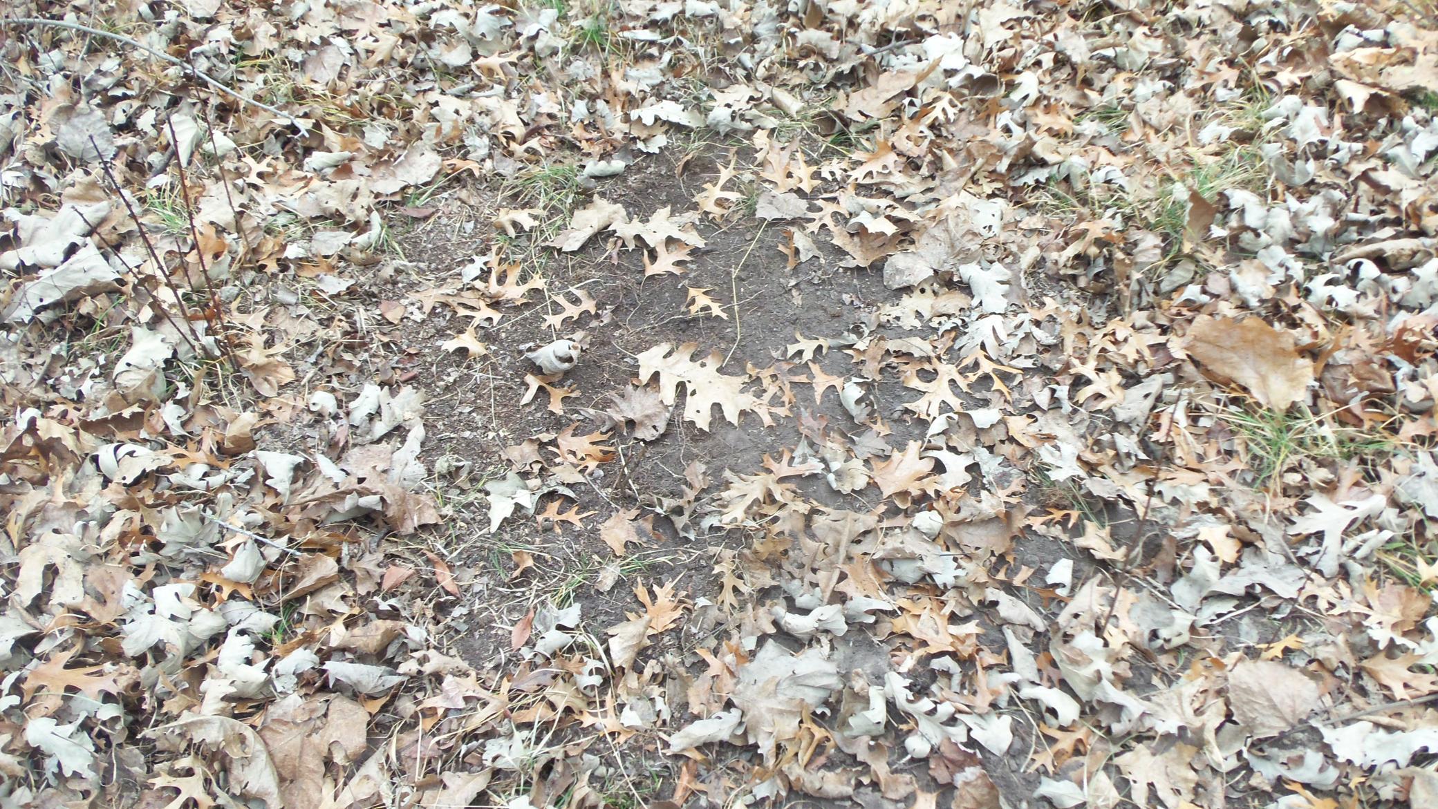 Lot 6 Canute Creek Trl Property Photo 6