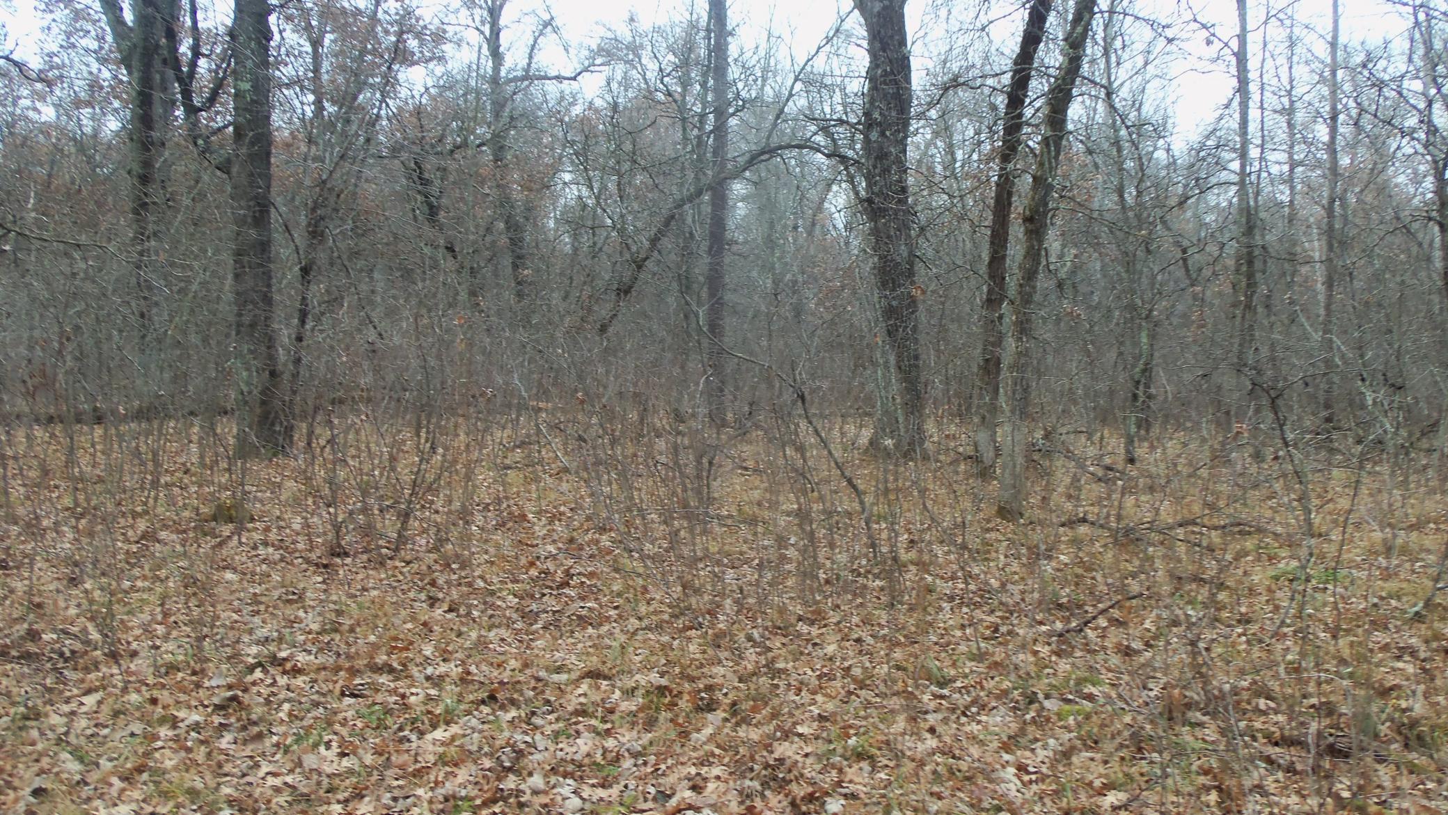 Lot 6 Canute Creek Trl Property Photo 8