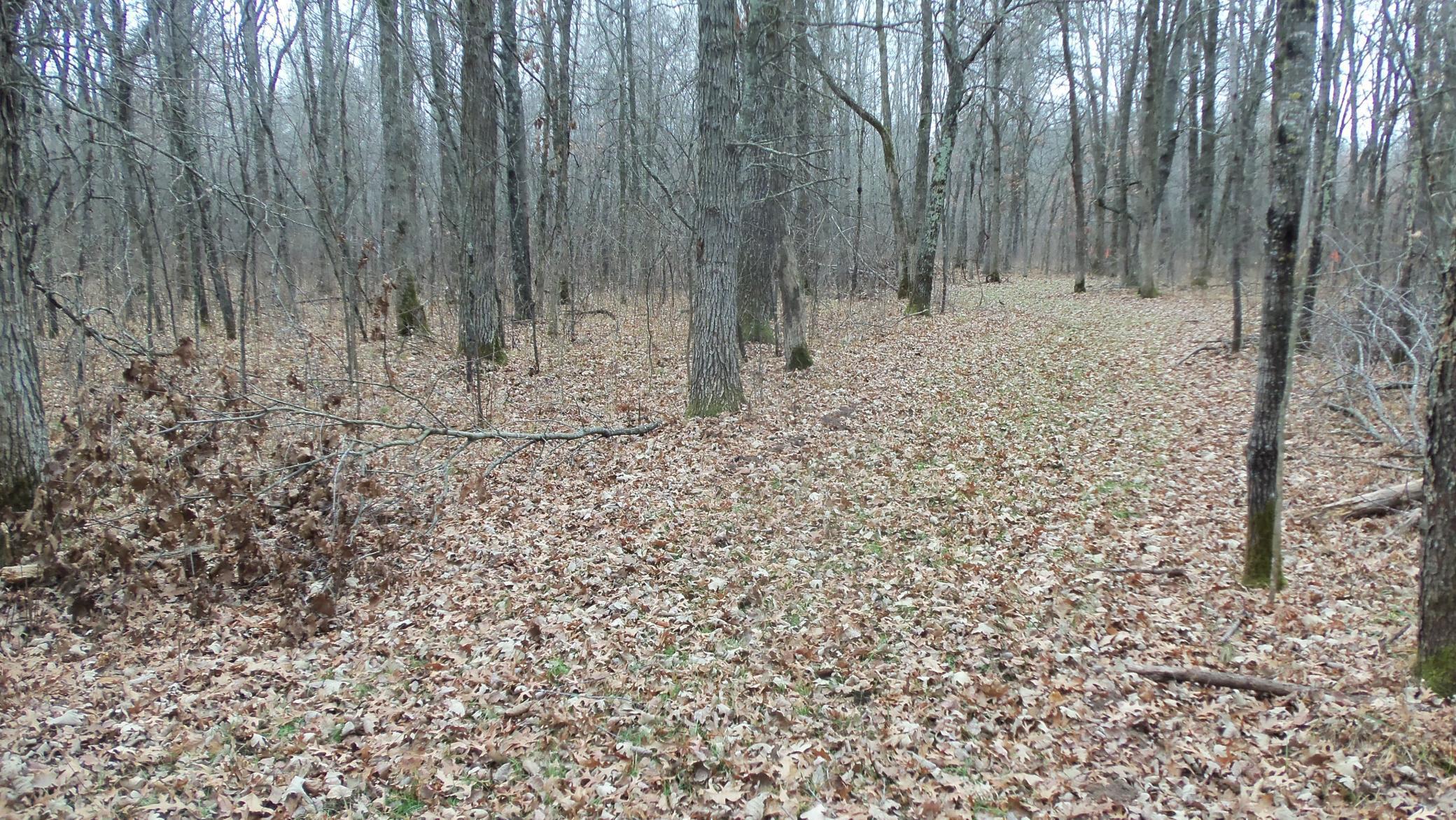 Lot 6 Canute Creek Trl Property Photo 9