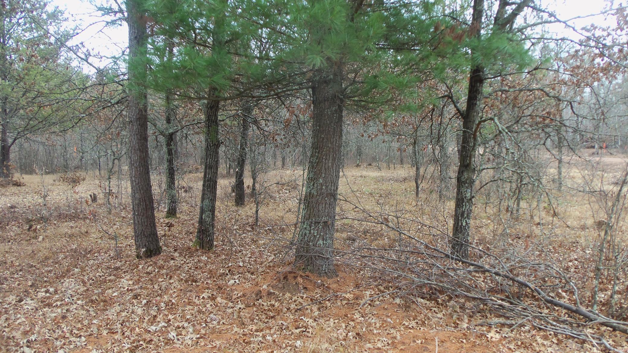 Lot 8 Canute Creek Trl Property Photo 4