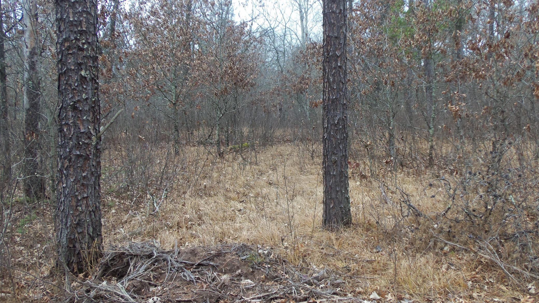 Lot 8 Canute Creek Trl Property Photo 8
