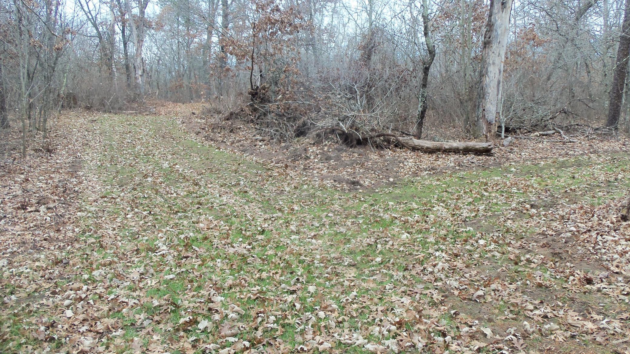Lot 8 Canute Creek Trl Property Photo 9