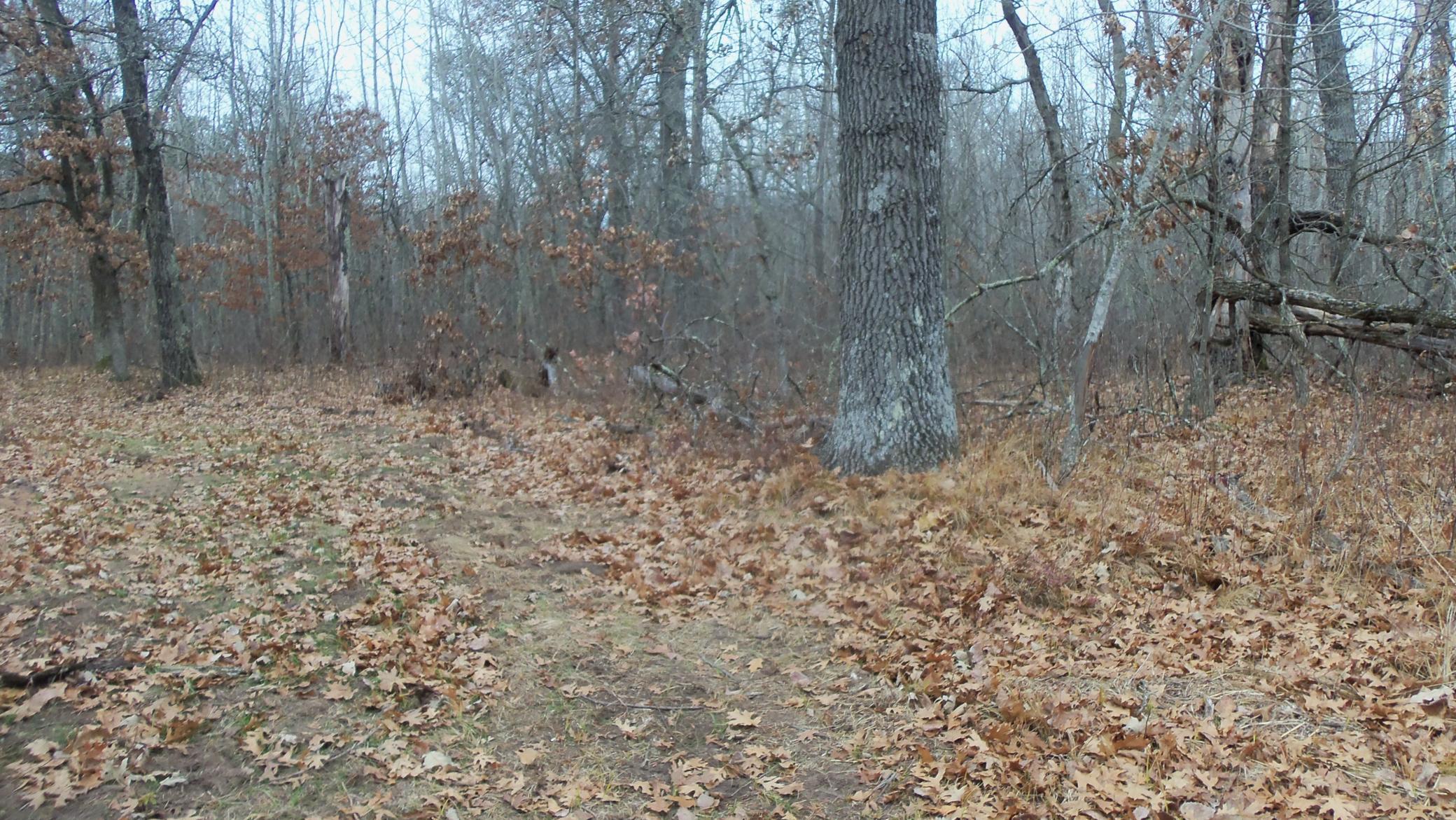 Lot 8 Canute Creek Trl Property Photo 10
