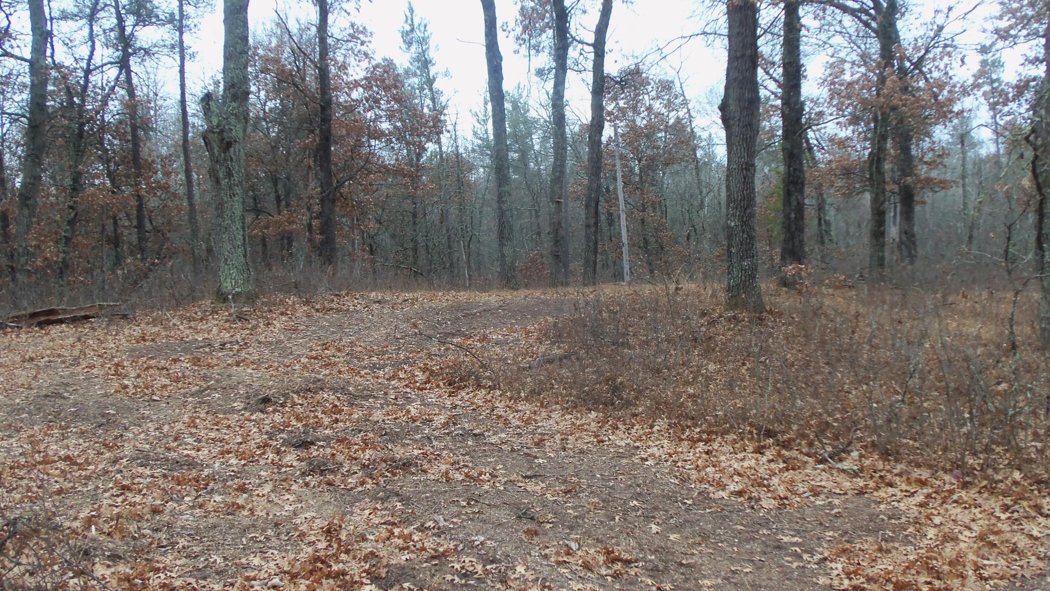Lot 8 Canute Creek Trl Property Photo 11