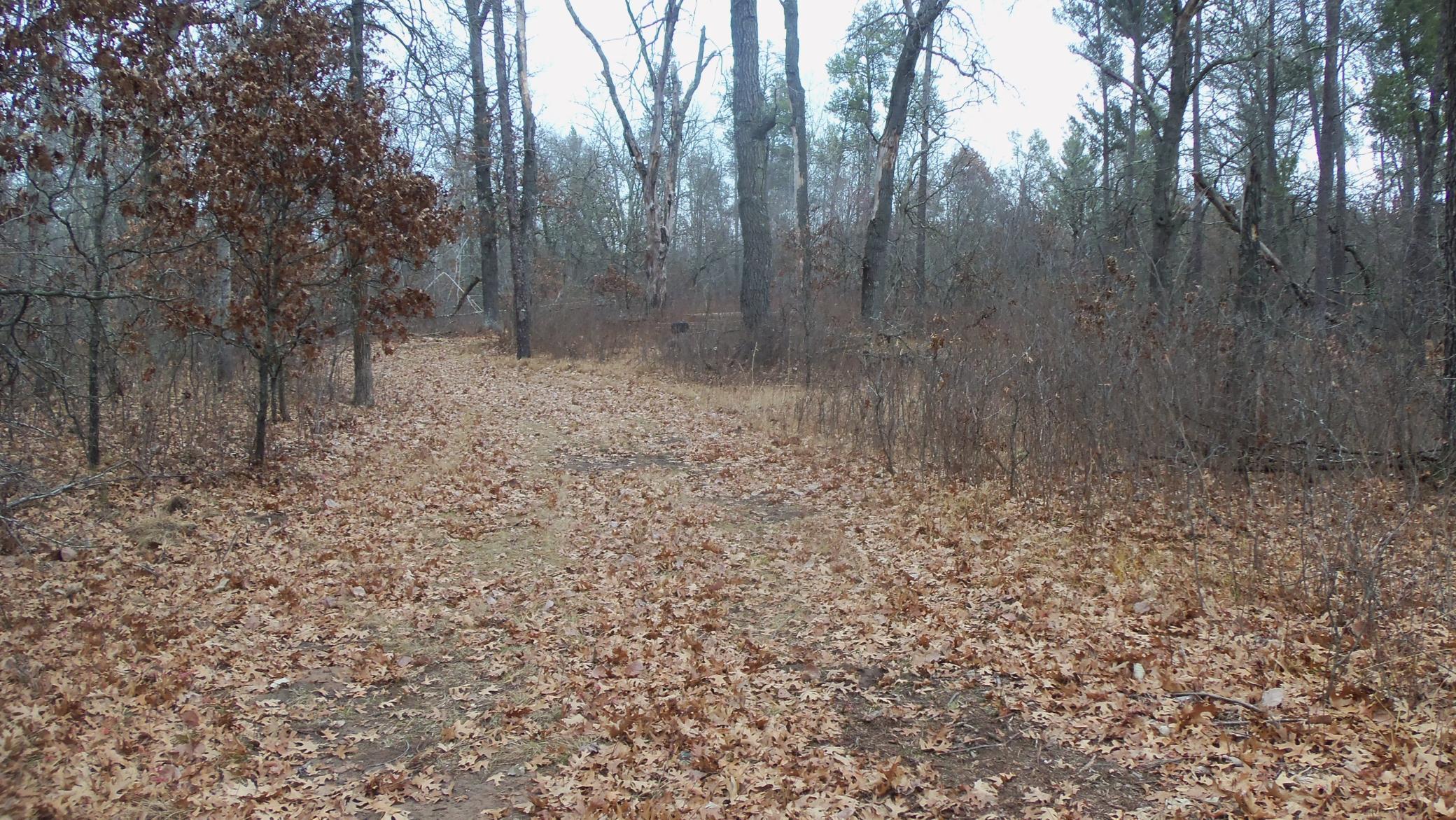 Lot 8 Canute Creek Trl Property Photo 12