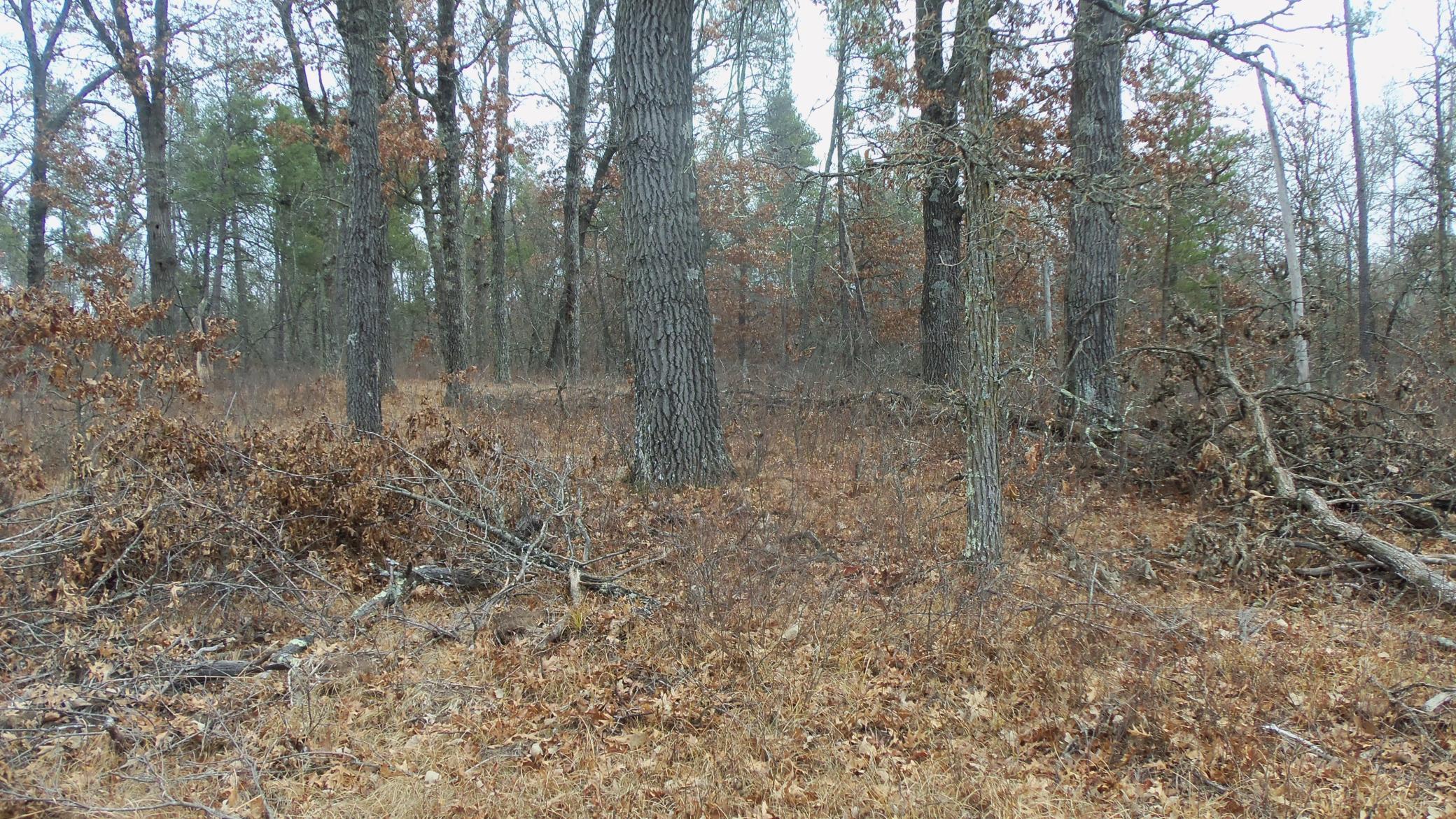 Lot 8 Canute Creek Trl Property Photo 13
