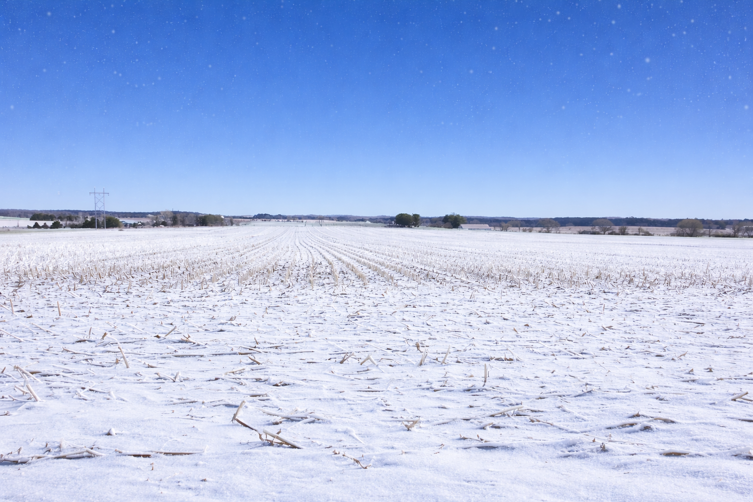 Lot 1 County Road T Property Photo 1