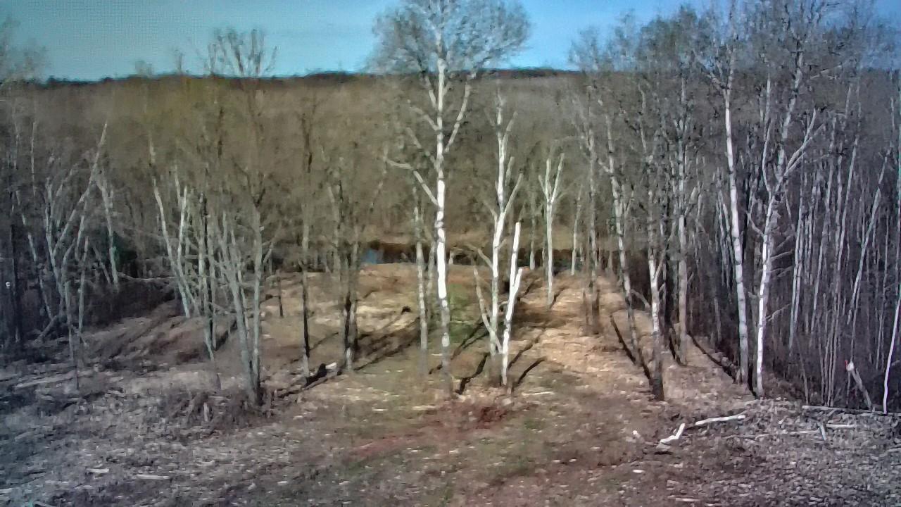 13649 188th Place Property Photo 3