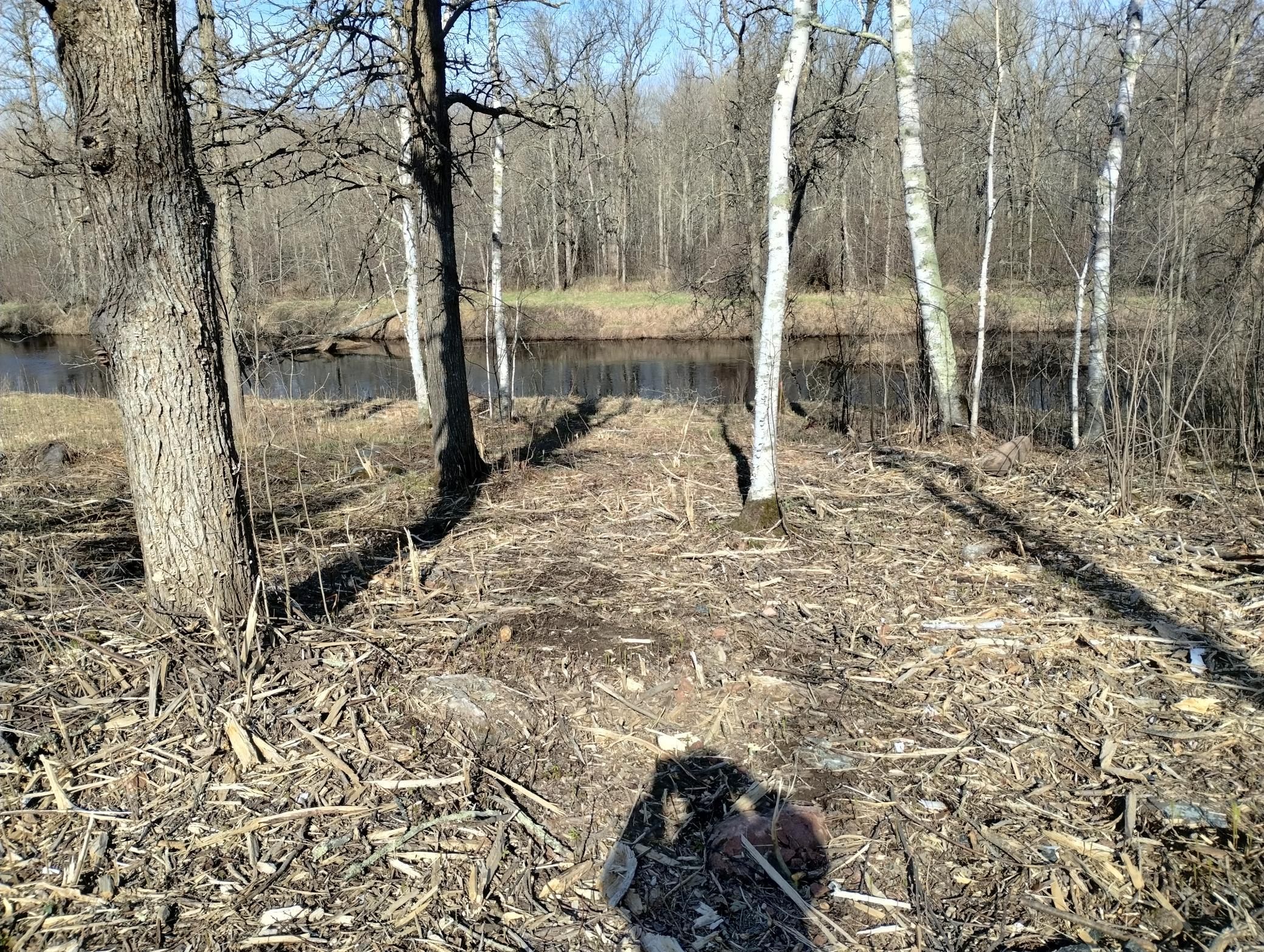 13649 188th Place Property Photo 4