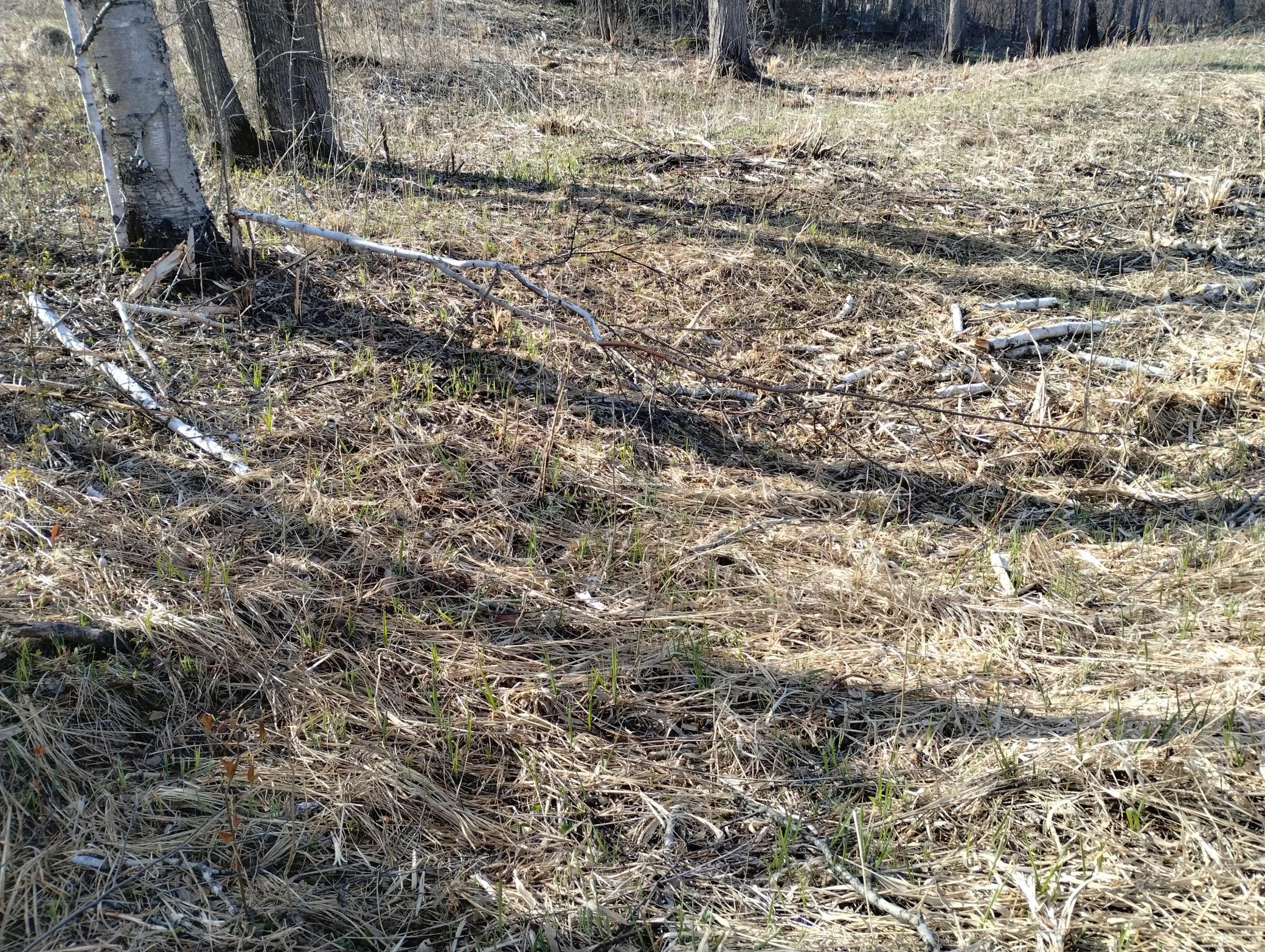 13649 188th Place Property Photo 6