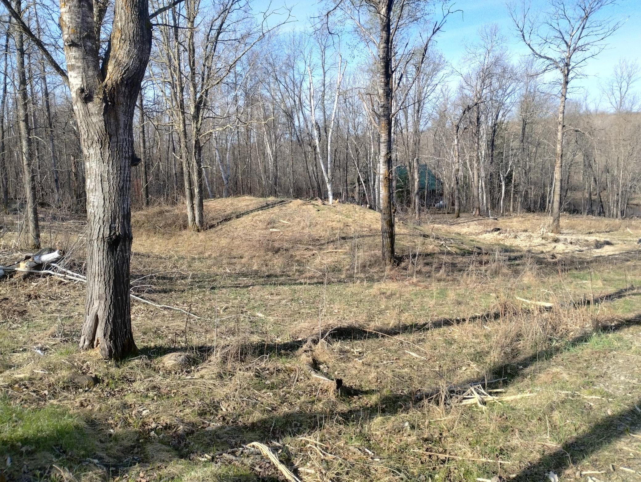 13649 188th Place Property Photo 18