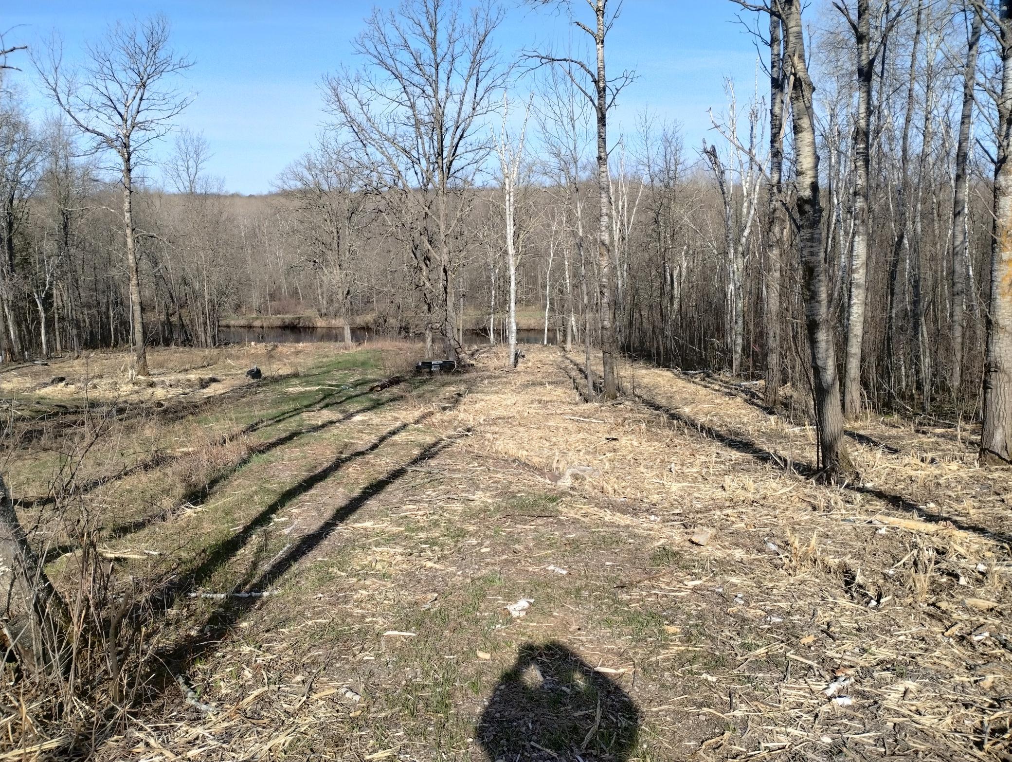 13649 188th Place Property Photo 19