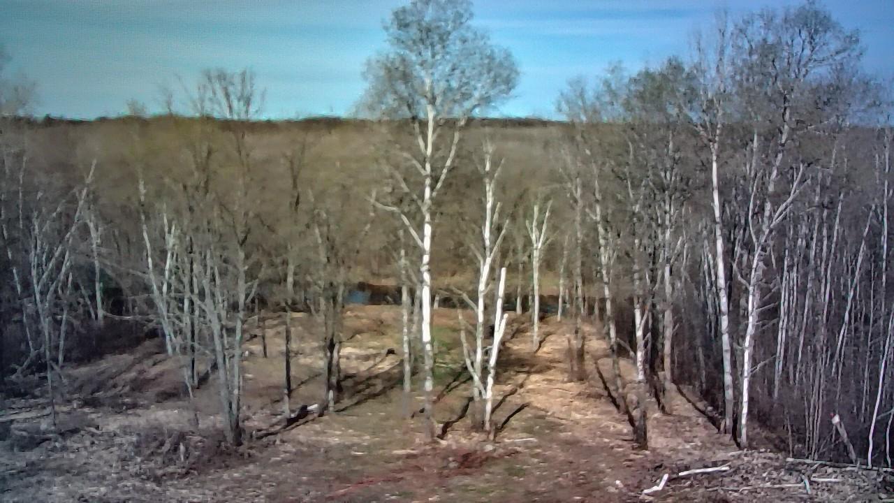 13649 188th Place Property Photo 21