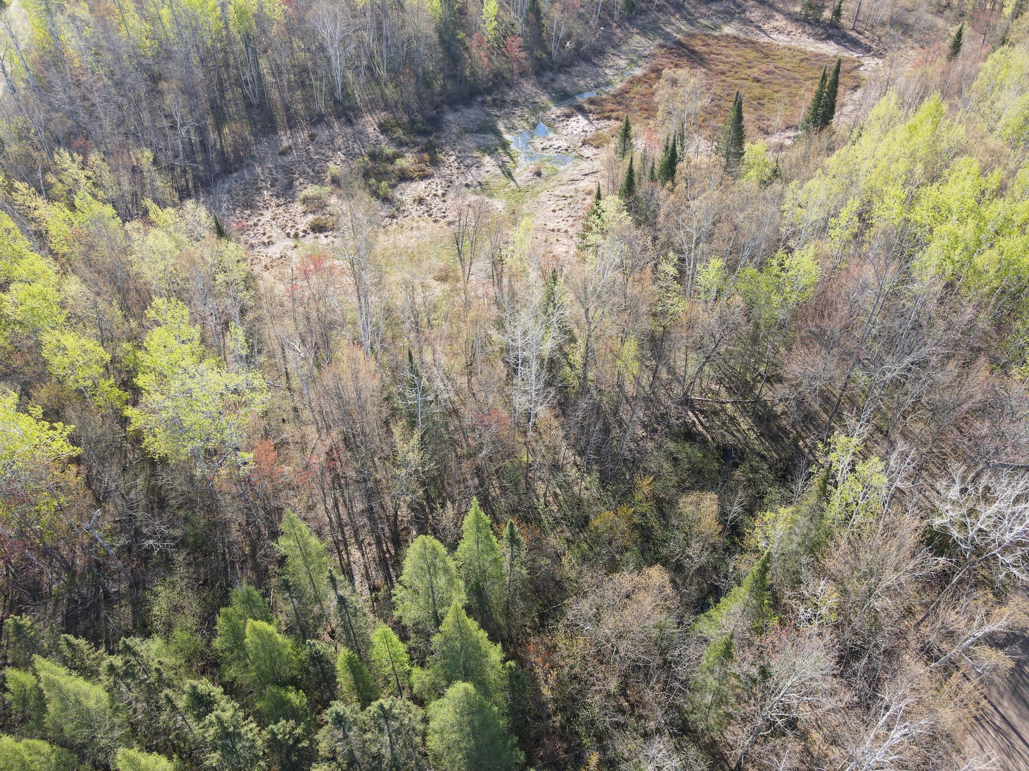 Tbd Baich Dr Property Photo 12