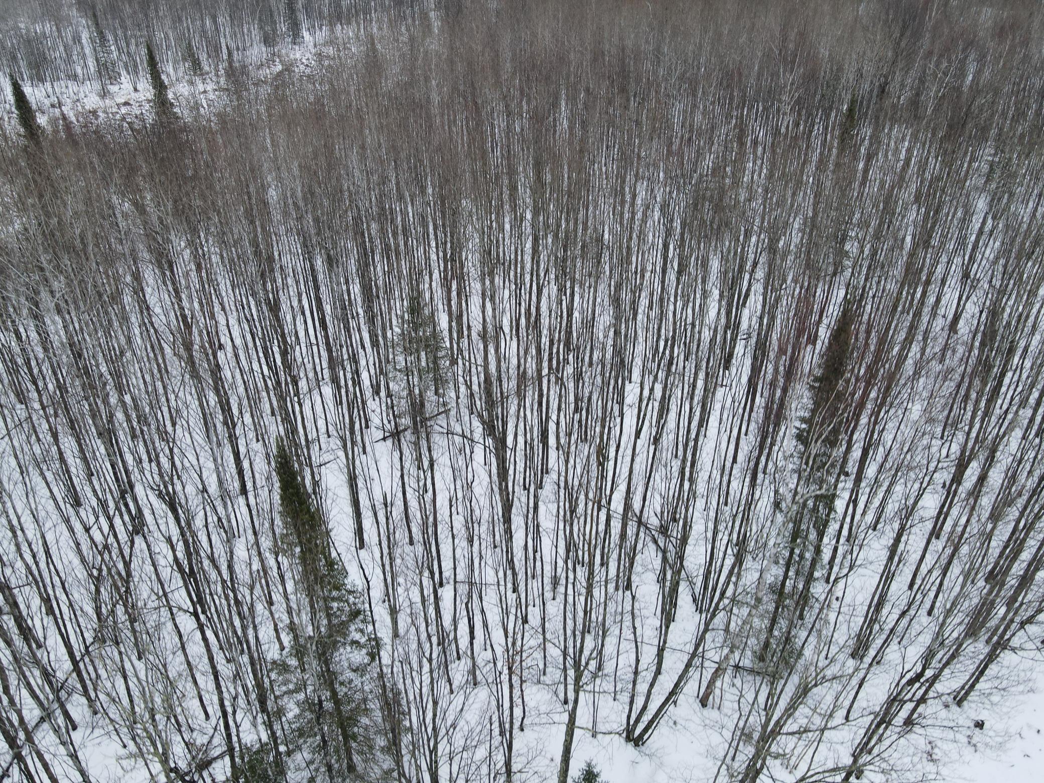 Tbd Baich Dr Property Photo 16