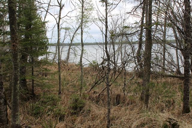 Tbd County Rd 19 Property Photo 3