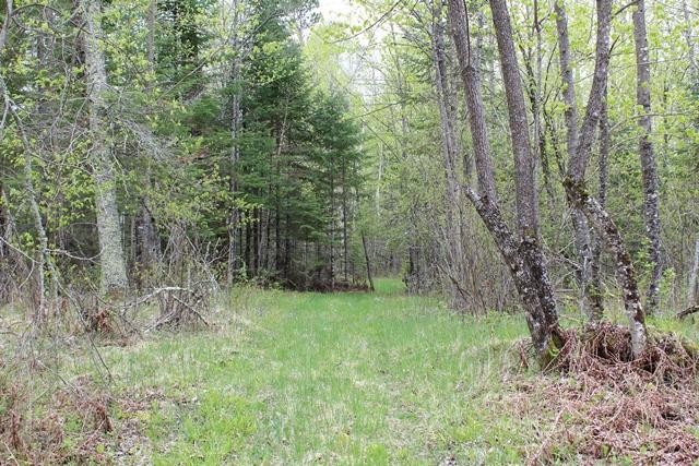 Tbd County Rd 19 Property Photo 4