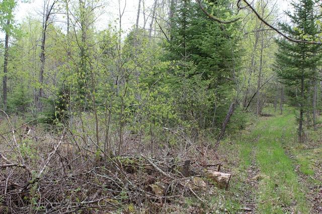 Tbd County Rd 19 Property Photo 5