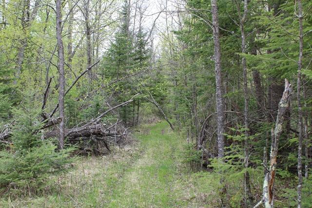 Tbd County Rd 19 Property Photo 6