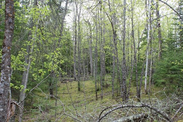 Tbd County Rd 19 Property Photo 7