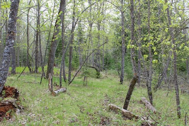 Tbd County Rd 19 Property Photo 9