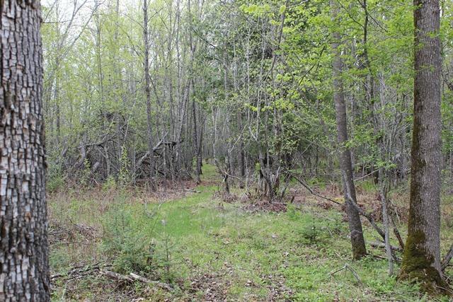 Tbd County Rd 19 Property Photo 11