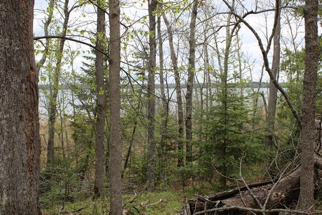Tbd County Rd 19 Property Photo 12