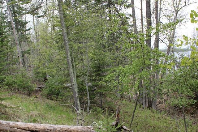 Tbd County Rd 19 Property Photo 14