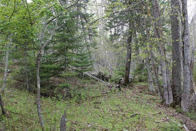 Tbd County Rd 19 Property Photo 15