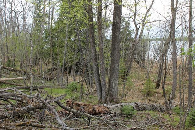 Tbd County Rd 19 Property Photo 16