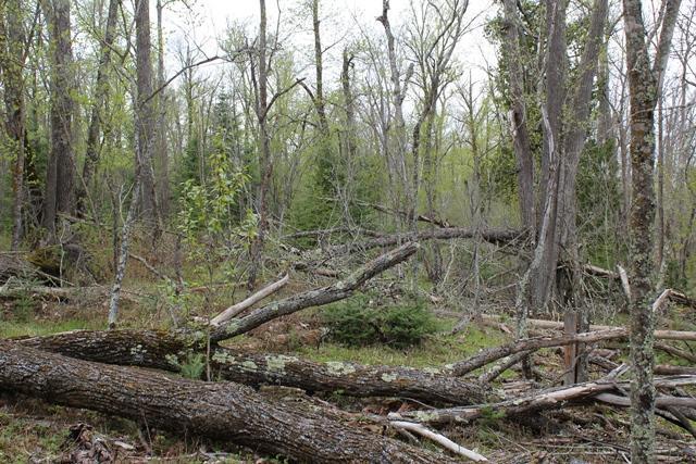 Tbd County Rd 19 Property Photo 17