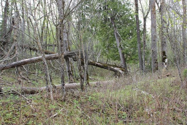 Tbd County Rd 19 Property Photo 18