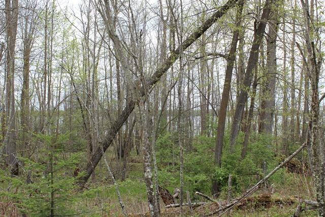 Tbd County Rd 19 Property Photo 20