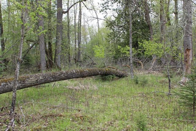 Tbd County Rd 19 Property Photo 21