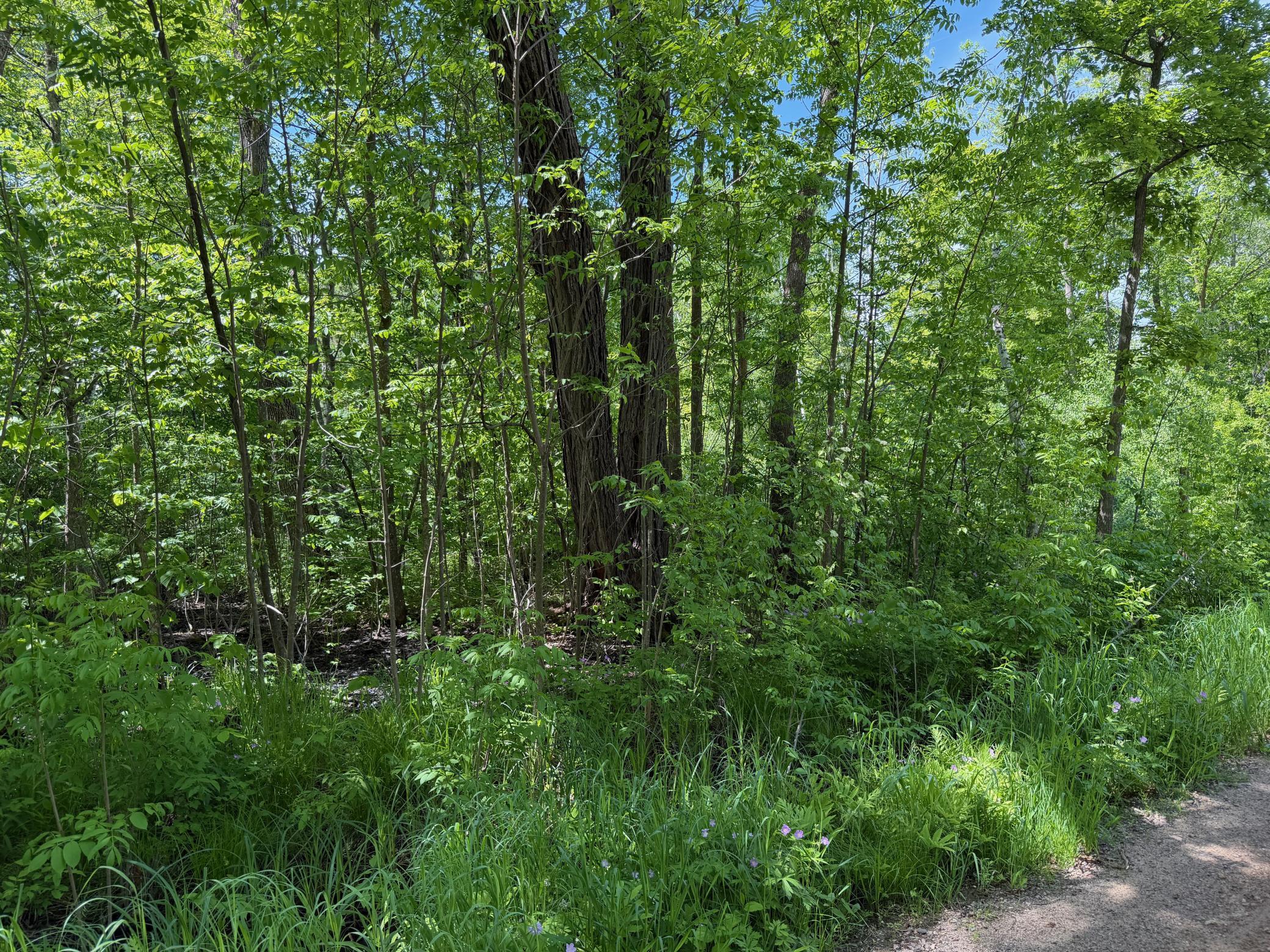 Tbd White Fish Road Property Photo 7