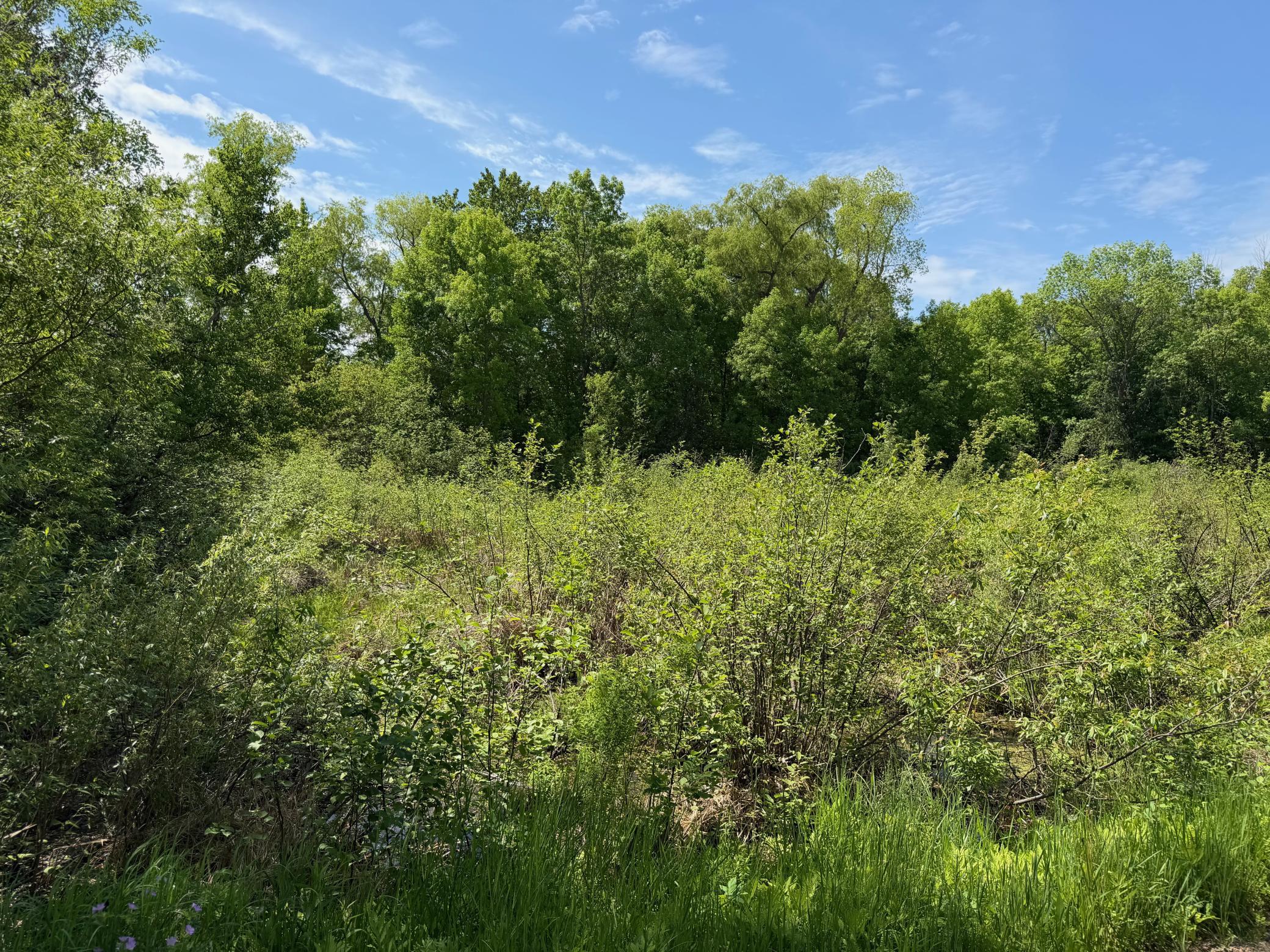 Tbd White Fish Road Property Photo 8