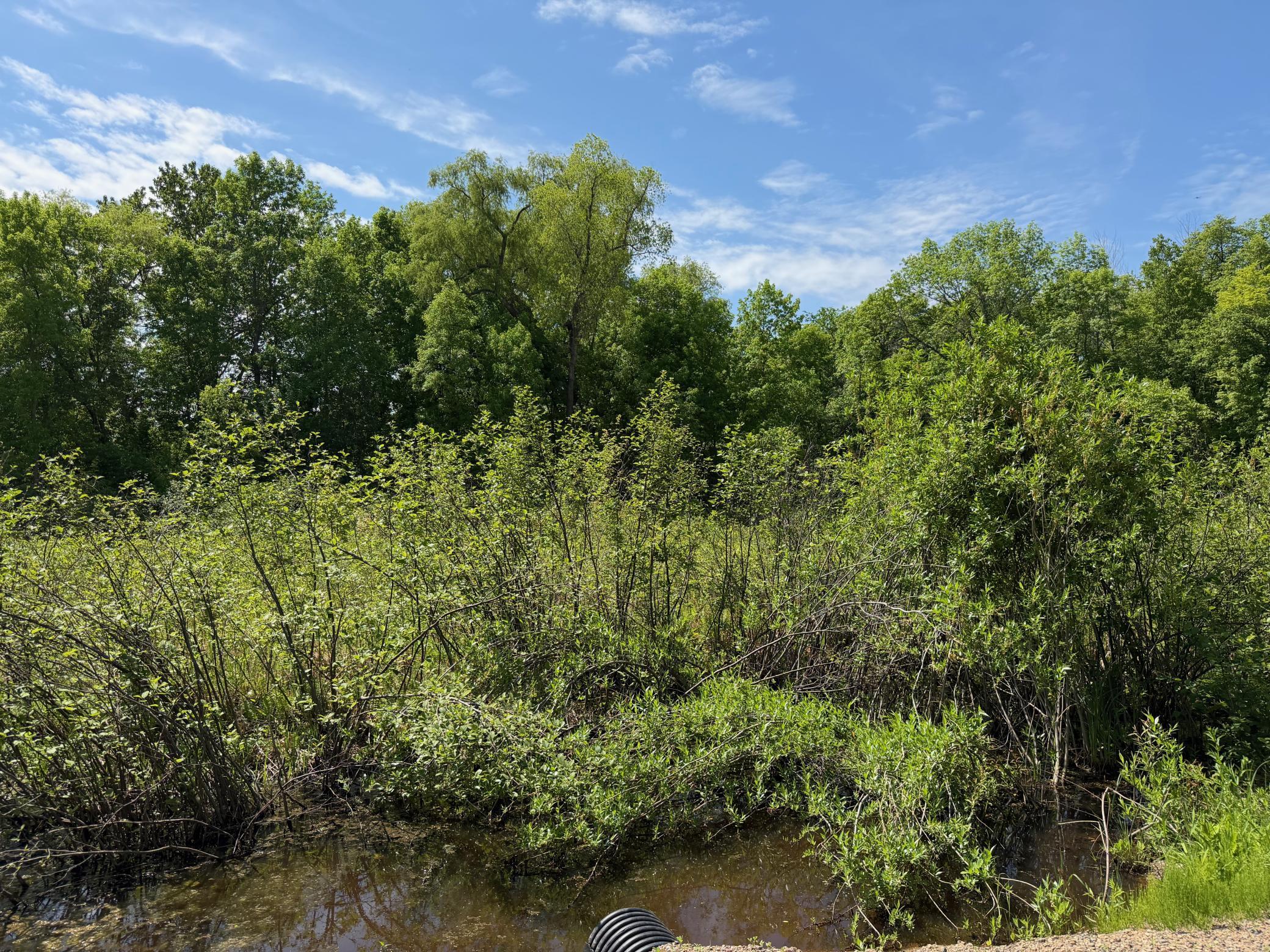 Tbd White Fish Road Property Photo 9