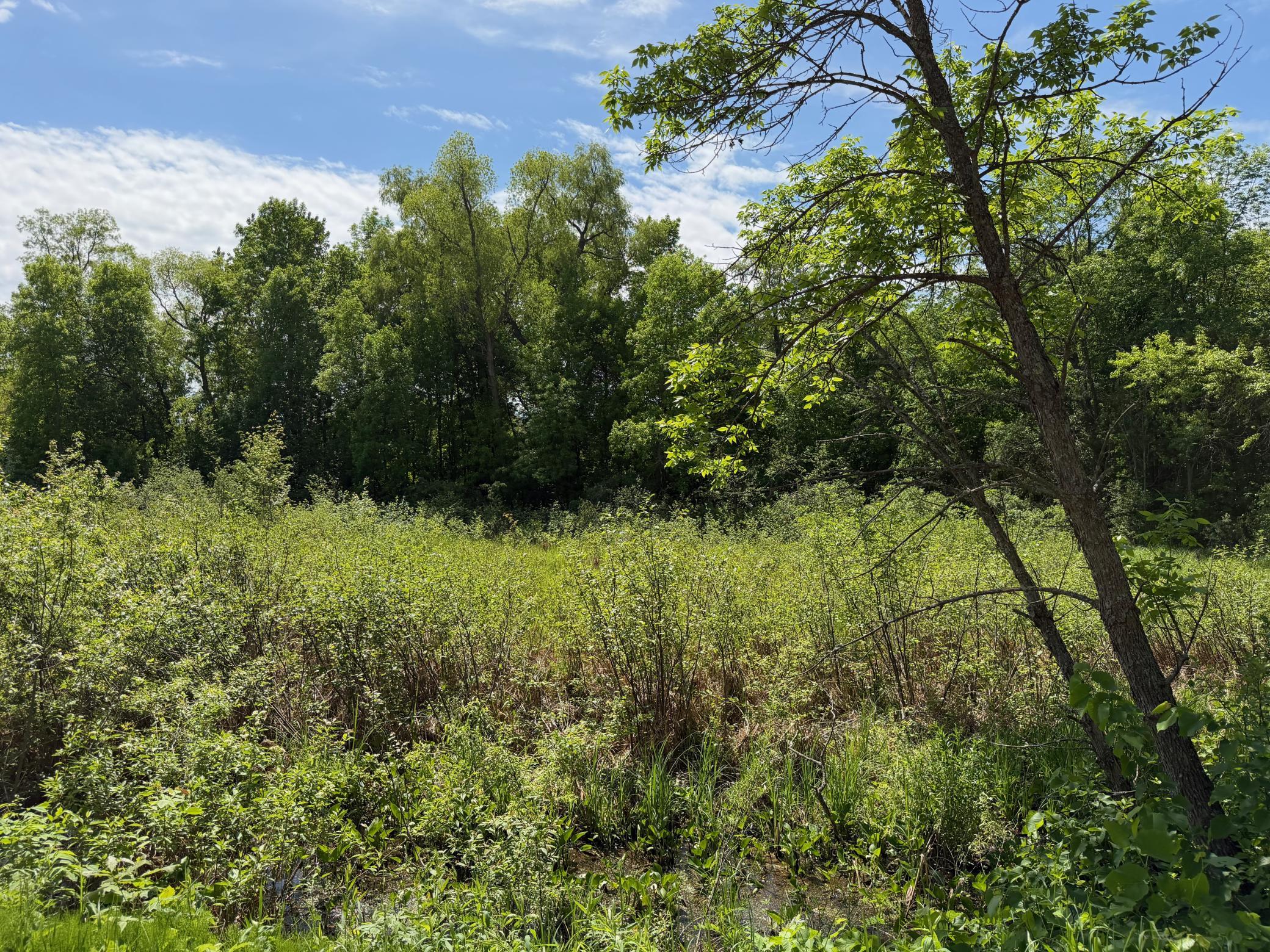 Tbd White Fish Road Property Photo 10