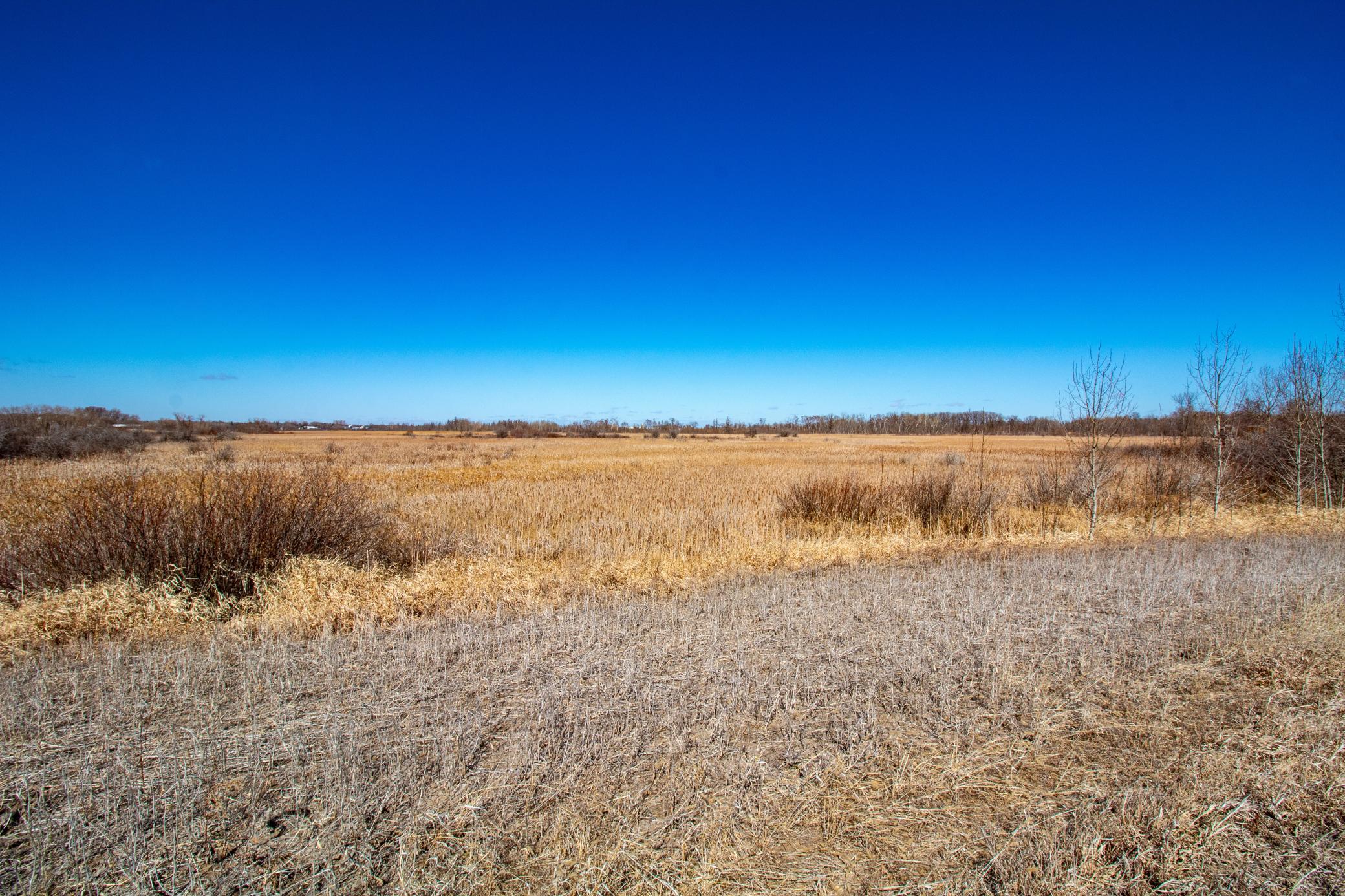 37675 395th Street Property Photo 2