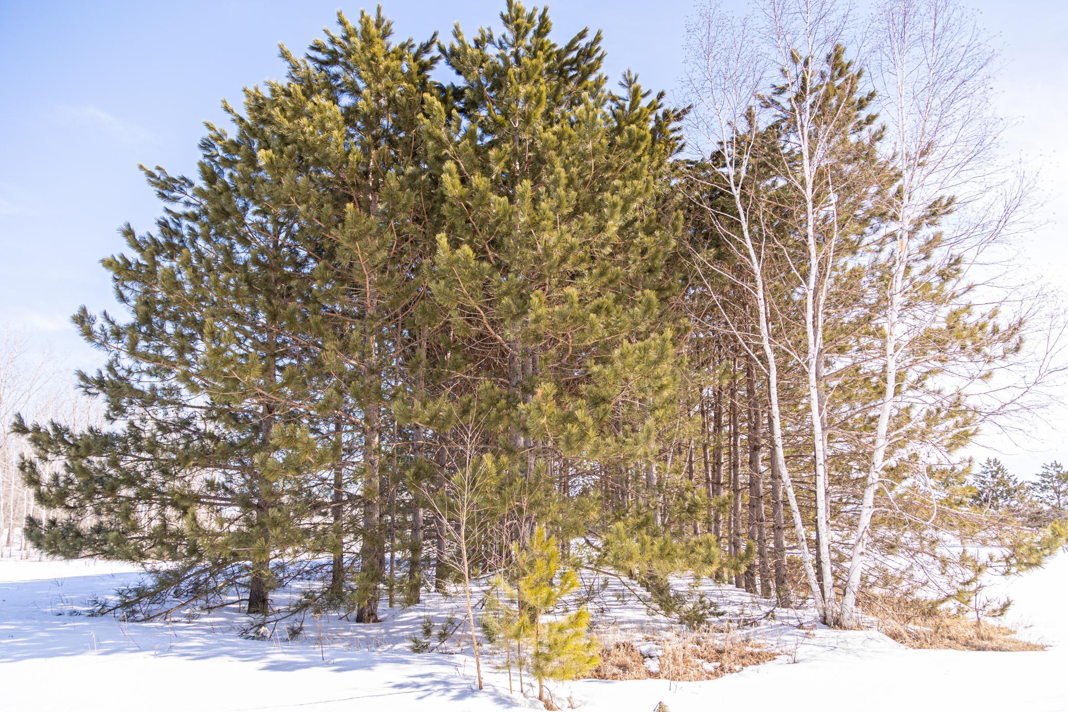 000 Mid-river Road Property Photo 3