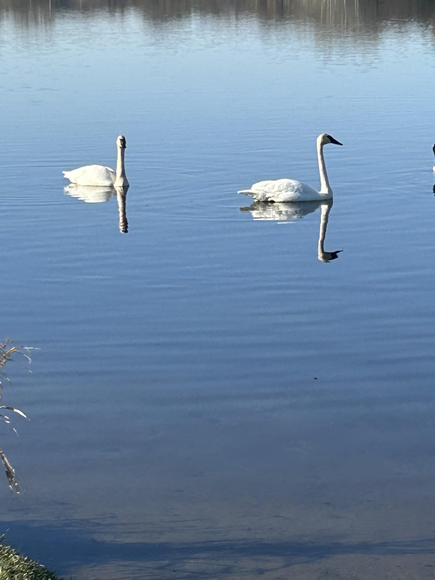 2065 Long Lake Road Property Photo 72