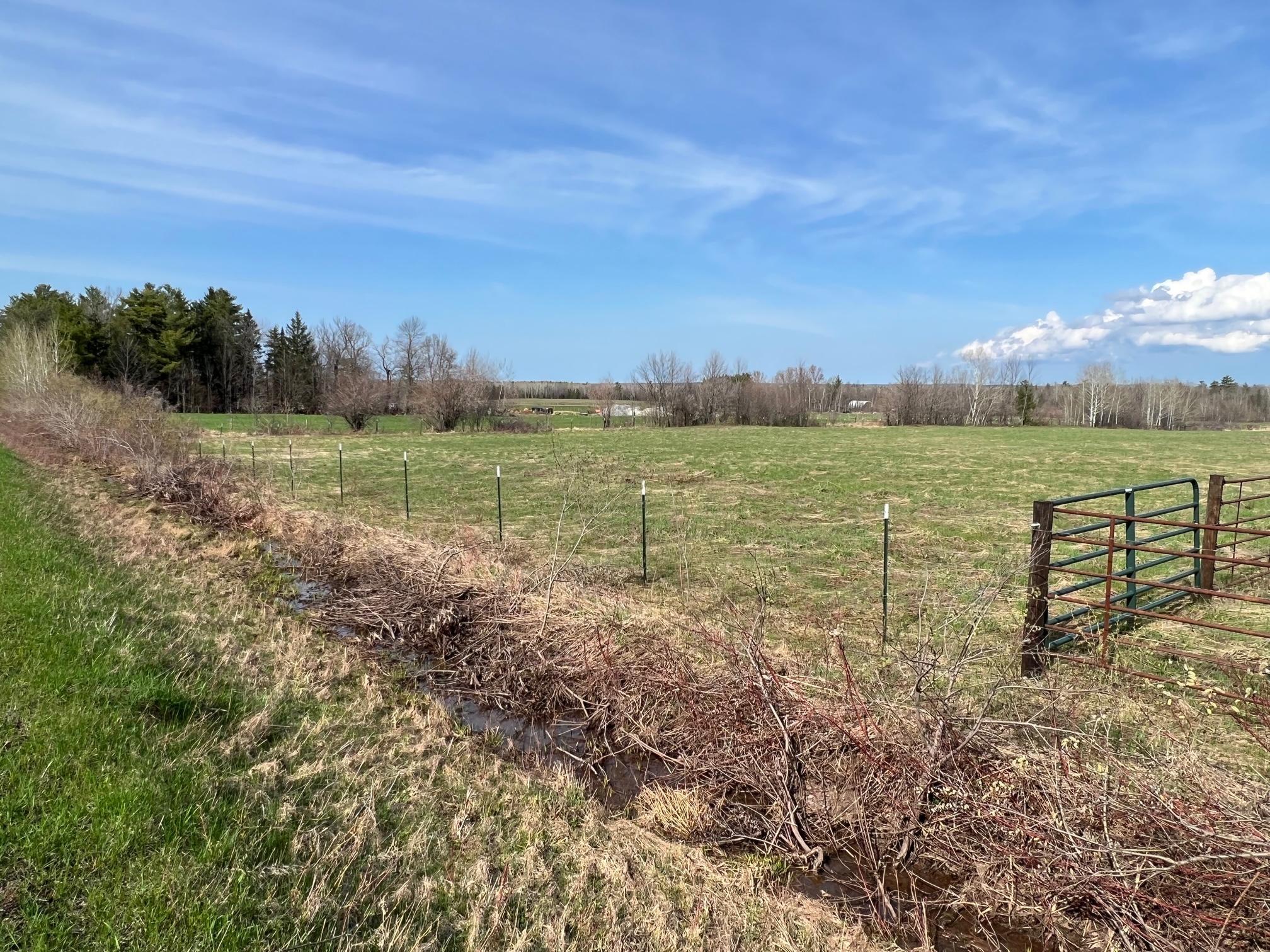 Tbd Boulevard Road Property Photo 4