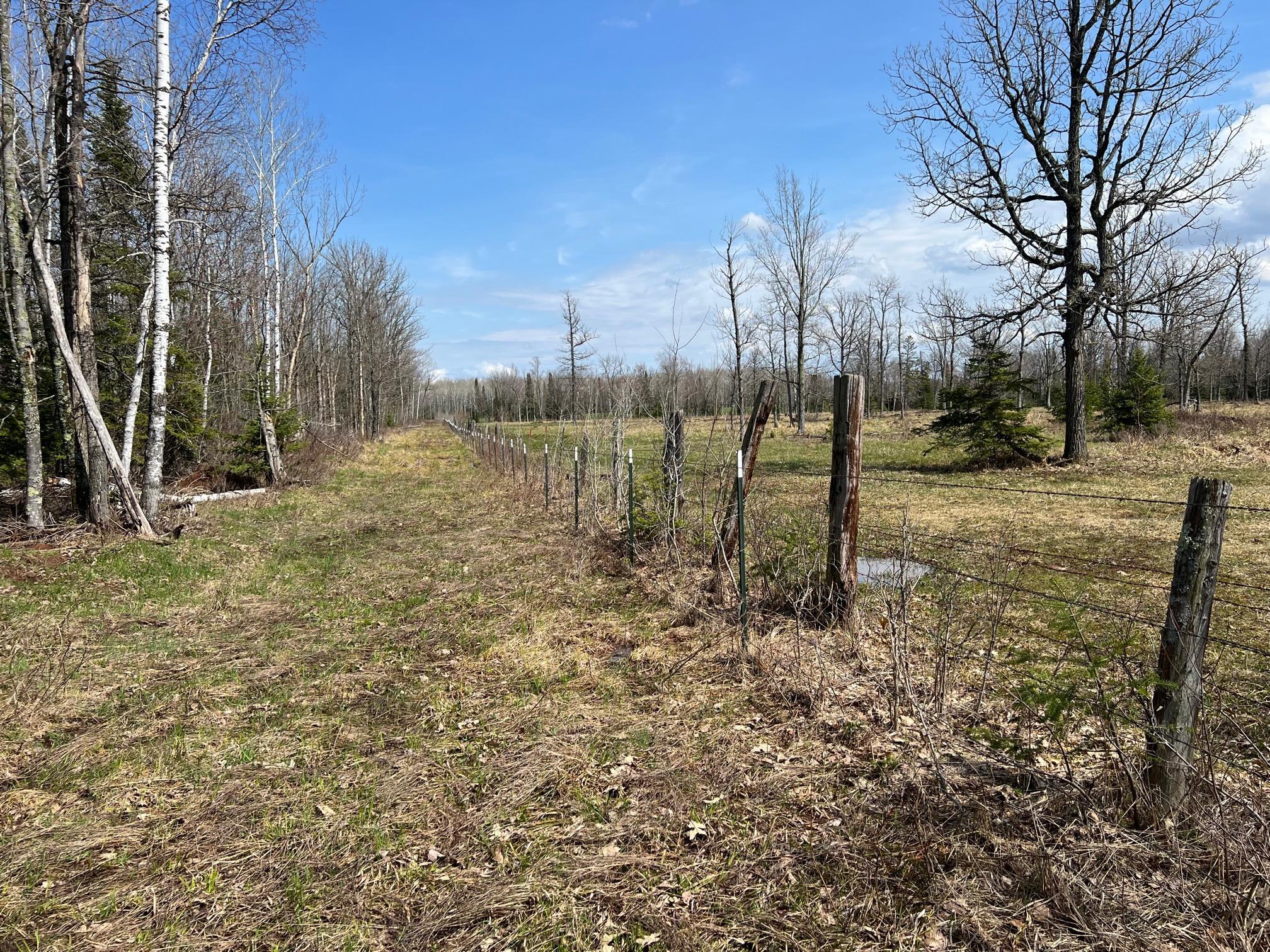 11tbd Gulley Road Property Photo 38