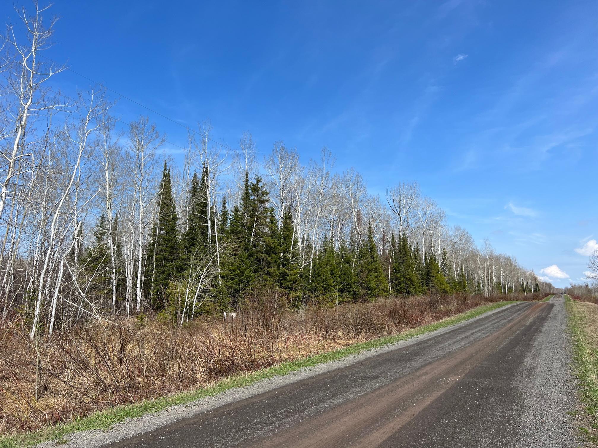 TBD Gulley Road