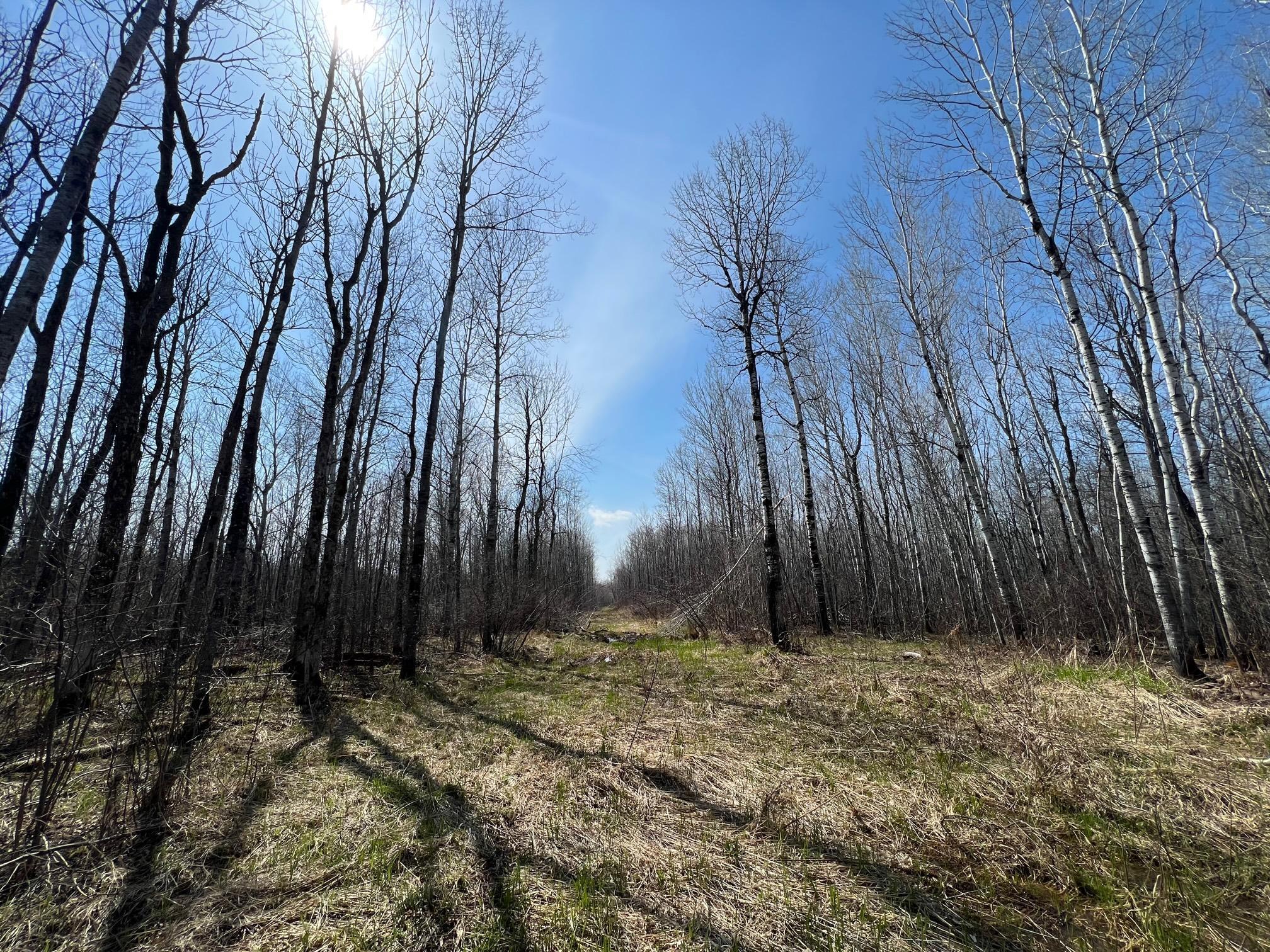 Tbd Gulley Road Property Photo 13