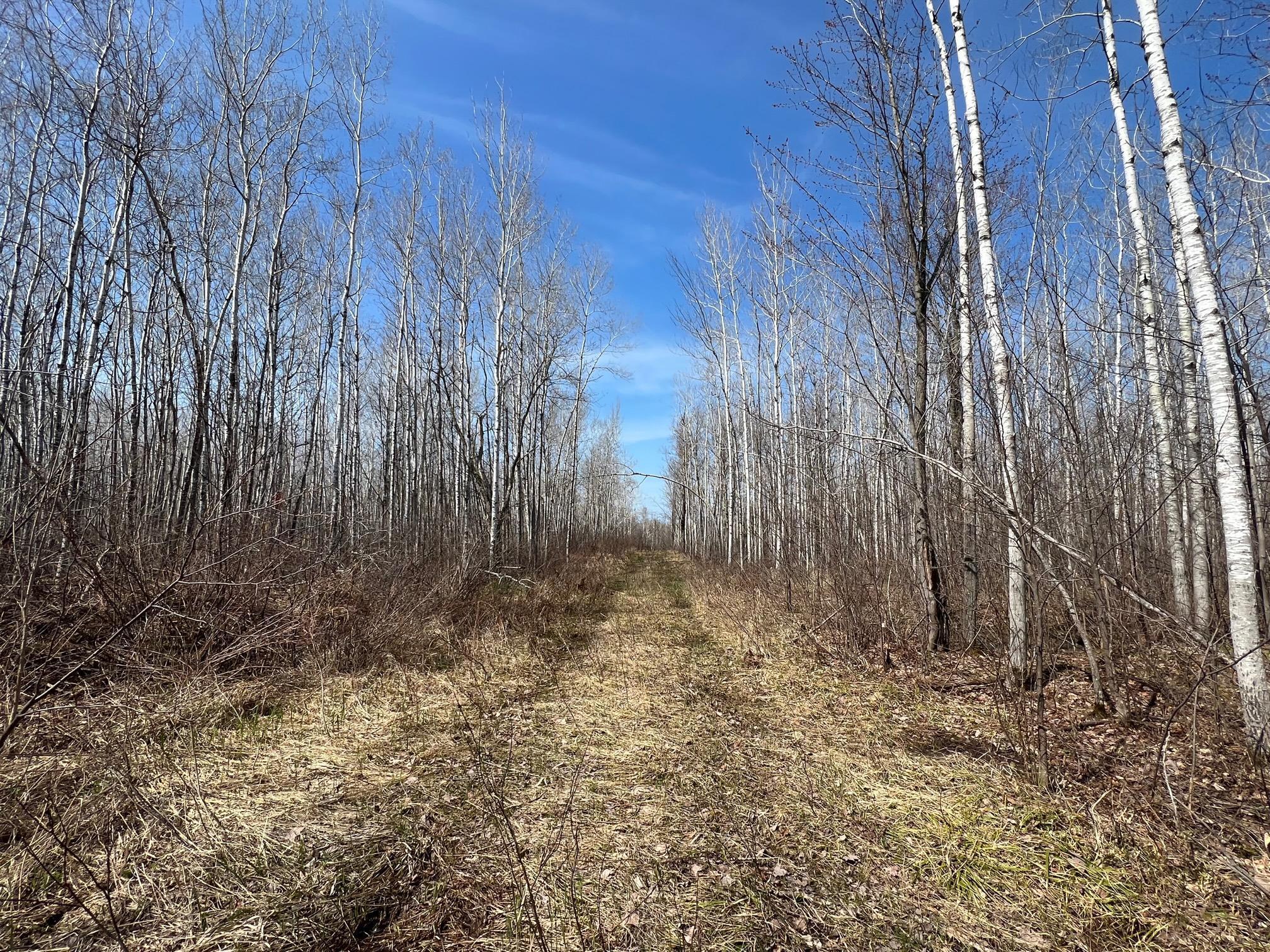 Tbd Gulley Road Property Photo 16