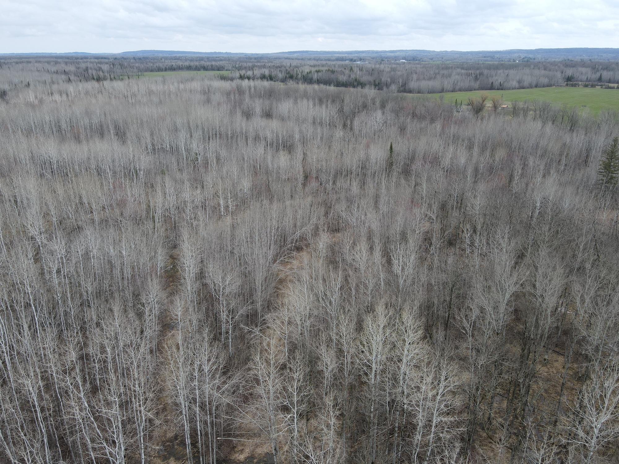 Tbd Gulley Road Property Photo 21