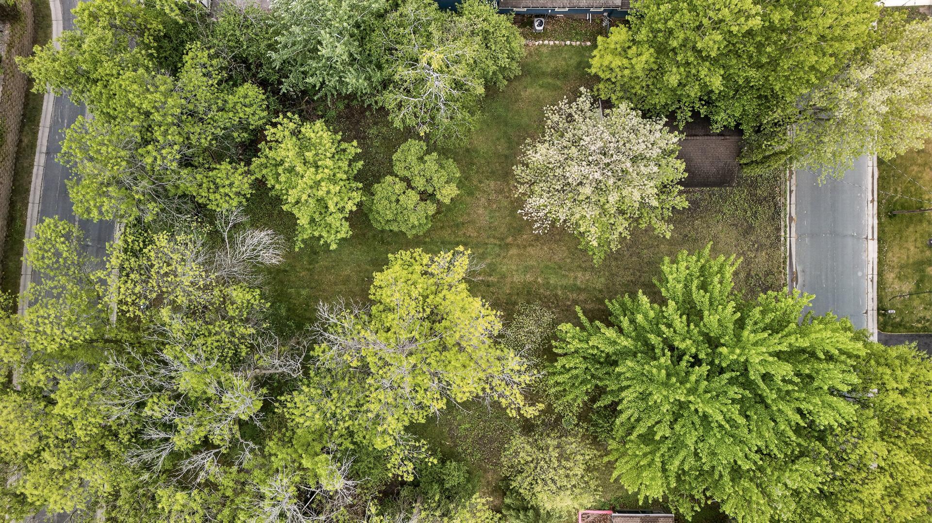 1800 Hawk Trail Property Photo 42