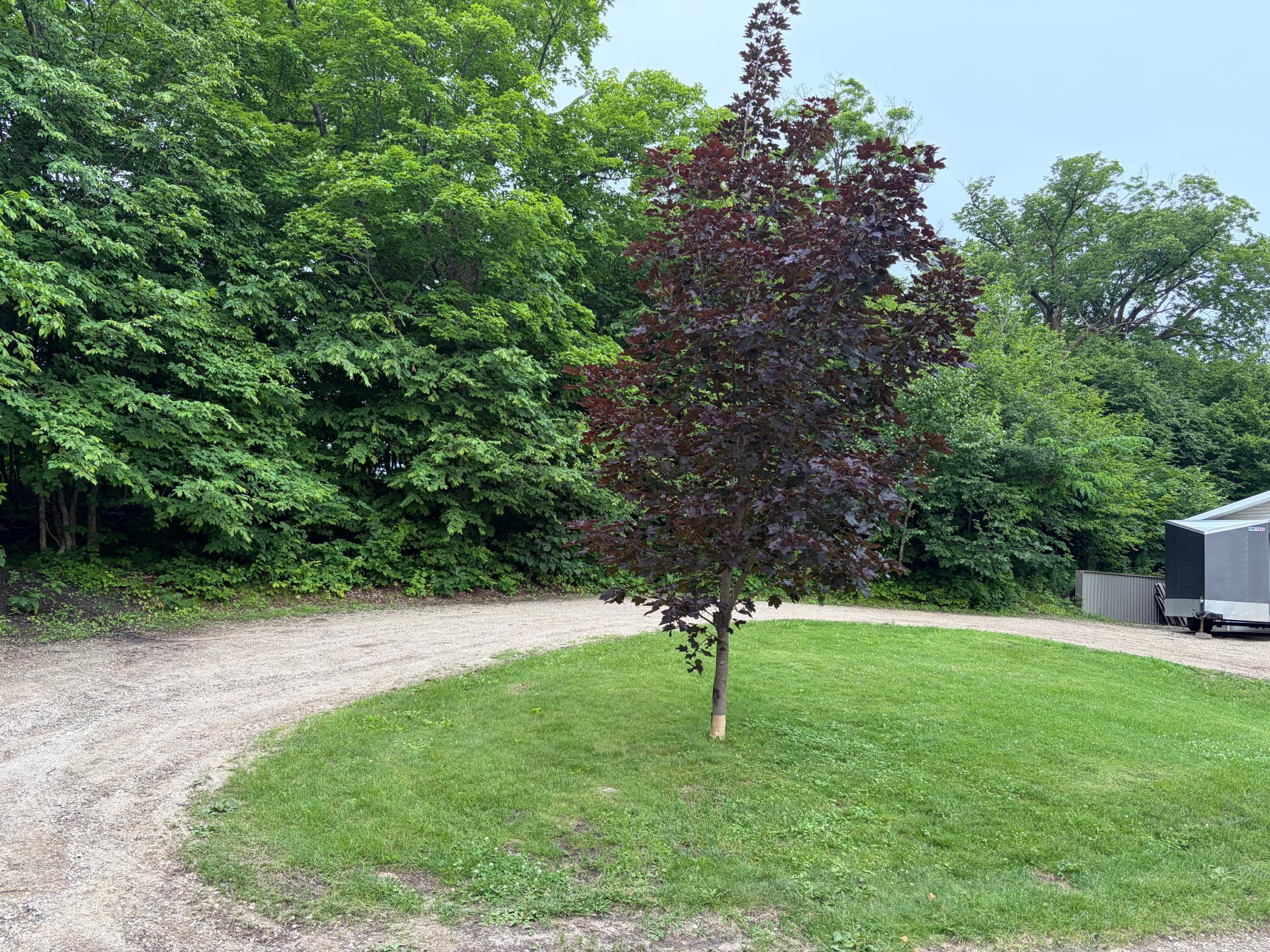 33003 County Hwy 27 Property Photo 116